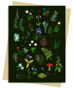Anna Stead Forest Floor Greeting Card Pack (Pack of 6) by Flame Tree Studio, 9781835628843