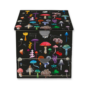 Anna Stead: Mushrooms & Fungi Memo Box with Drawer by Flame Tree Studio, 9781835629178