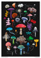 Adult Cylinder Jigsaw Puzzle Anna Stead: Mushrooms & Fungi (1000-pieces. Ethical, Sustainable, Earth-friendly) by Flame Tree Studio, 9781835629185