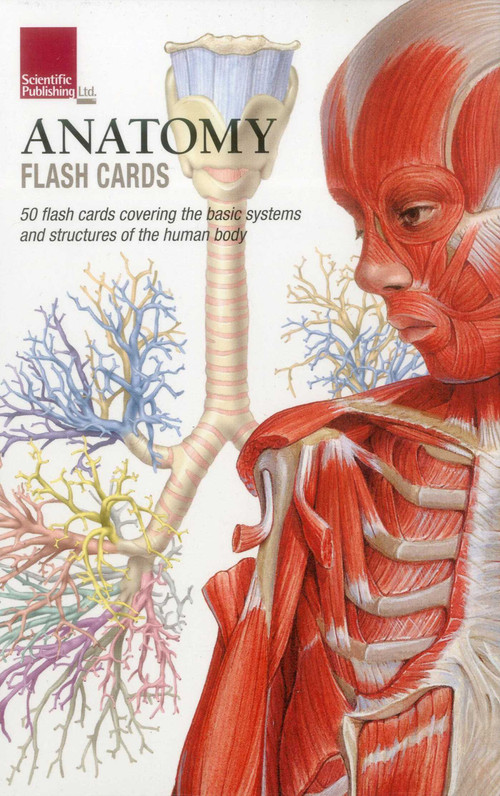 Anatomy Flash Cards by Scientific Publishing, 9781935612278