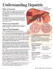 Understanding Hepatitis Model by Scientific Publishing, 9781935612353