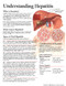 Understanding Hepatitis Model by Scientific Publishing, 9781935612353