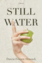 Stillwater by Darcie Friesen Hossack, 9781990160202