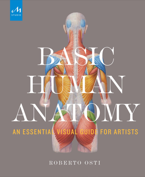 Basic Human Anatomy (An Essential Visual Guide for Artists) by Roberto Osti, Peter Drake, 9781580934381