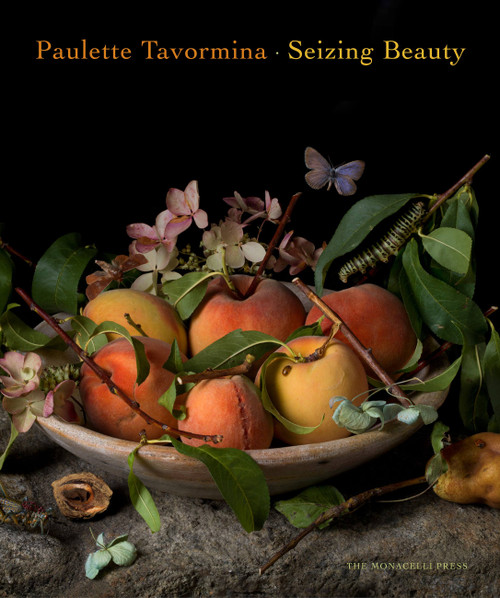 Paulette Tavormina: Seizing Beauty by Paulette Tavormina, Silvia Malaguzzi, Mark Alice Durant, Anke Van Wagenberg-Ter Hoeven, 9781580934565