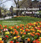 Sidewalk Gardens of New York by Betsy Pinover Schiff, Alicia Whitaker, Adrian Benepe, 9781580934640