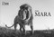 The Mara by Anup Shah, 9780565093945