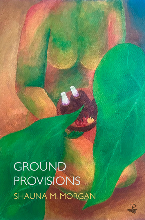 Ground Provisions by Shauna M. Morgan, 9781845236014