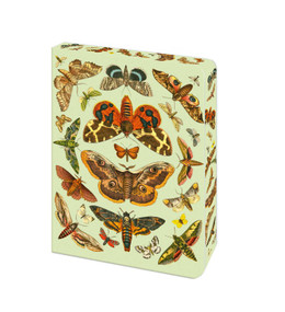 The Moth Journal (Blank Lined Notebook) by Arcturus Publishing Limited, 9781398866546
