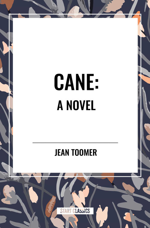 Cane A Novel by Jean Toomer, 9798880902873