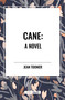 Cane A Novel by Jean Toomer, 9798880902873