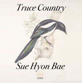 Truce Country by SUE HYON BAE, 9781912477845