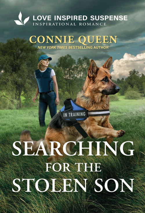 Searching for the Stolen Son - 9781335919113 by Connie Queen, 9781335919113