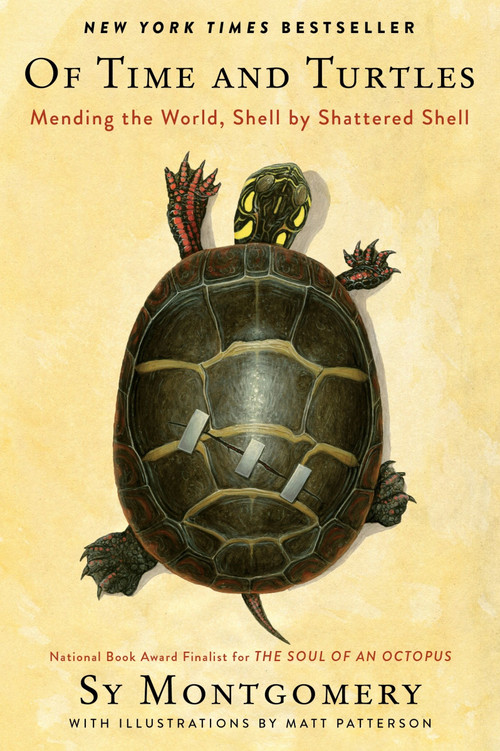 Of Time and Turtles (Mending the World, Shell by Shattered Shell) by Sy Montgomery, Matt Patterson, 9780358458180