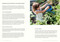 The Montessori Kitchen (A Parent's Guide to Nurturing Your Child's Curiosity, Confidence, and Connection to Food) by Kristen Miglore, Junnifa Uzodike, 9781523528462