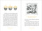 Acorns (In a Nutshell) by Charles Hood, 9781643265650