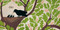 Go, Crow by Tjitske Kamphuis, 9798217024605