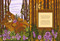 The Bear and the Seed by Poonam Mistry, Poonam Mistry, 9781536243994