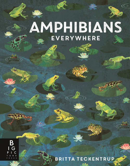 Amphibians Everywhere by Camilla de la Bedoyere, Britta Teckentrup, 9781536244120