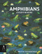 Amphibians Everywhere by Camilla de la Bedoyere, Britta Teckentrup, 9781536244120