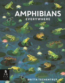 Amphibians Everywhere by Camilla de la Bedoyere, Britta Teckentrup, 9781536244120