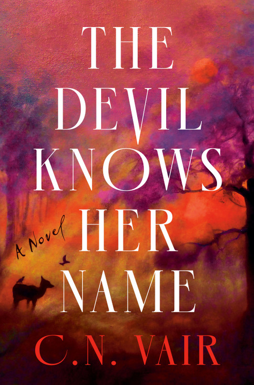 The Devil Knows Her Name by C.N. Vair, 9798217188758