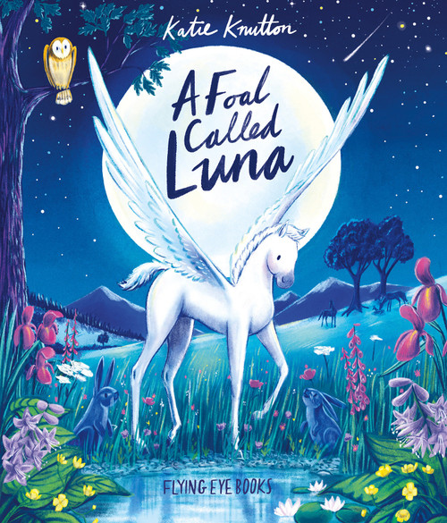 A Foal Called Luna by Katie Knutton, 9781838749835