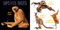 National Geographic Photo Ark Bodies / Cuerpos by Joel Sartore, 9781426376054