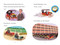 Ford: What Is a Car? by Julia Sooy, Jesga Machado, 9798217049042