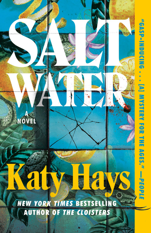 Saltwater (A Novel) by Katy Hays, 9780593875575