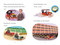 Ford: What Is a Car? - 9798217049035 by Julia Sooy, Jesga Machado