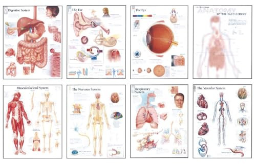 Human Anatomy Chart Pack (Wall Chart) by Scientific Publishing, 9781932922851