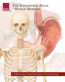 The Illustrated Atlas of Human Anatomy by Scientific Publishing, 9781932922950