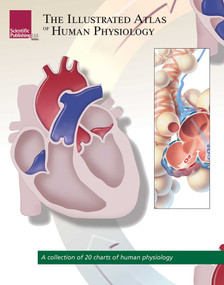 The Illustrated Atlas of Human Physiology by Scientific Publishing, 9781932922981