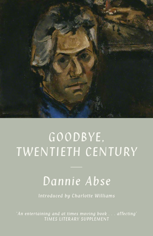 Goodbye, 20th Century by Dannie Abse, 9781917140454