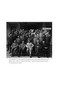 They Shall Not See the Dawn (The Manhunt for the Third Reich's Most Wanted) by Charles Lachman, 9798895151068