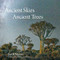 Ancient Skies, Ancient Trees by Beth Moon, Clark Strand, 9780789212672