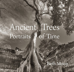 Ancient Trees (Portraits of Time) by Beth Moon, Todd Forrest, Steven Brown, 9780789211958