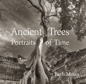 Ancient Trees (Portraits of Time) by Beth Moon, Todd Forrest, Steven Brown, 9780789211958