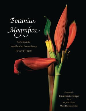 Botanica Magnifica (Portraits of the World's Most Extraordinary Flowers and Plants) by Jonathan M. Singer, W.  John Kress, Marc Hachadourian, 9780789211378