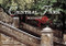 Central Park (30 Postcards) by Sonja Bullaty, Angelo Lomeo, 9781558599239