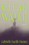 Clear Water (A Novel) by Gabrielle Lucille Fuentes, 9781250389770