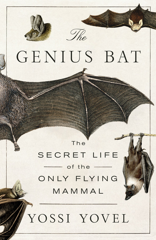 The Genius Bat (The Secret Life of the Only Flying Mammal) - 9781250378460 by Yossi Yovel, 9781250378460