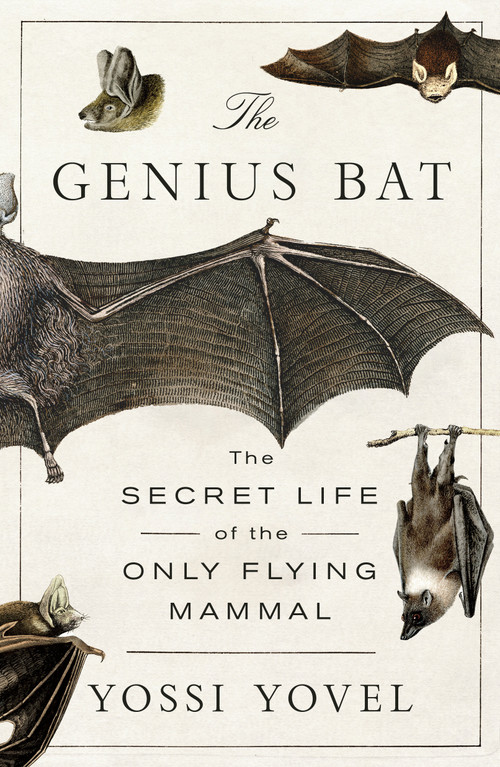The Genius Bat (The Secret Life of the Only Flying Mammal) - 9781250378460 by Yossi Yovel