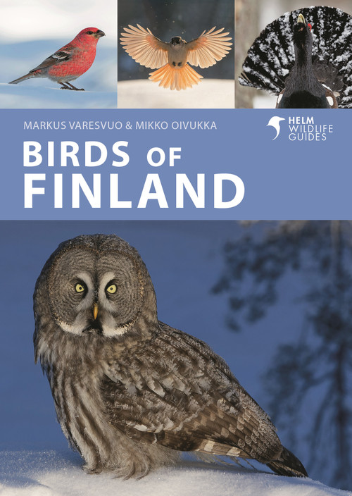 Birds of Finland by Markus Varesvuo, Mikko Oivukka, 9781399423960