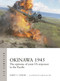 Okinawa 1945 (The epitome of joint US airpower in the Pacific) by James S. Corum, Gareth Hector, 9781472872272