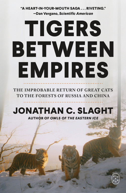 Tigers Between Empires (The Improbable Return of Great Cats to the Forests of Russia and China) - 9781250448767 by Jonathan C. Slaght