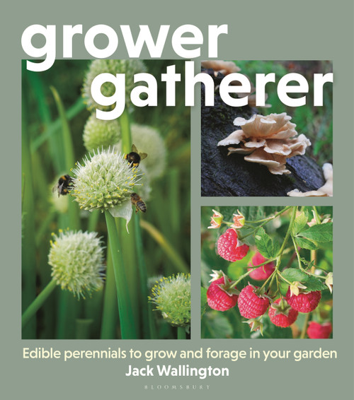 Grower Gatherer (Edible perennials to grow and forage in your garden) by Jack Wallington, 9781399426855