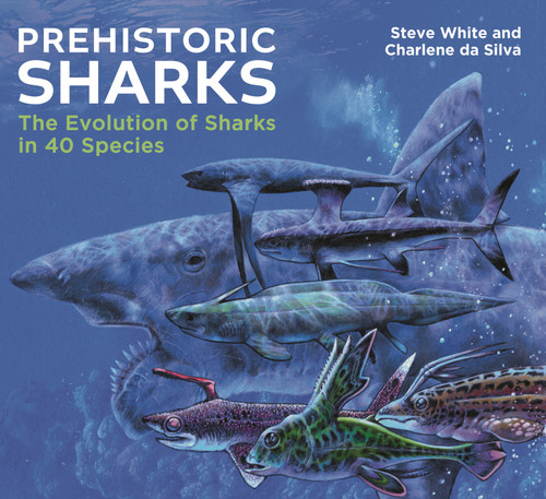 Prehistoric Sharks (The Evolution of Sharks in 40 Species) by Steve White, Charlene da Silva, 9781399414333