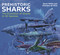 Prehistoric Sharks (The Evolution of Sharks in 40 Species) by Steve White, Charlene da Silva, 9781399414333